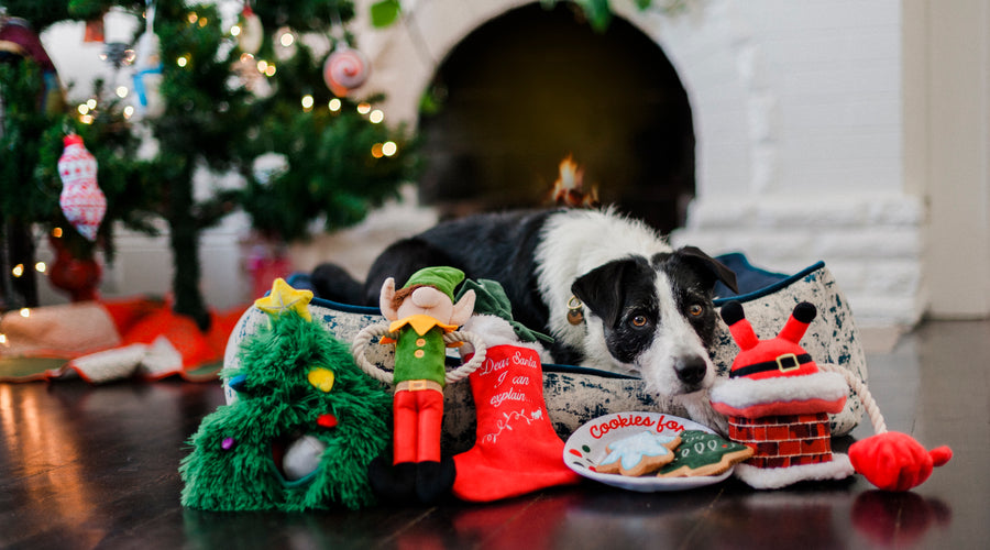 P.L.A.Y.’s Ultimutt Howliday Gift Guide