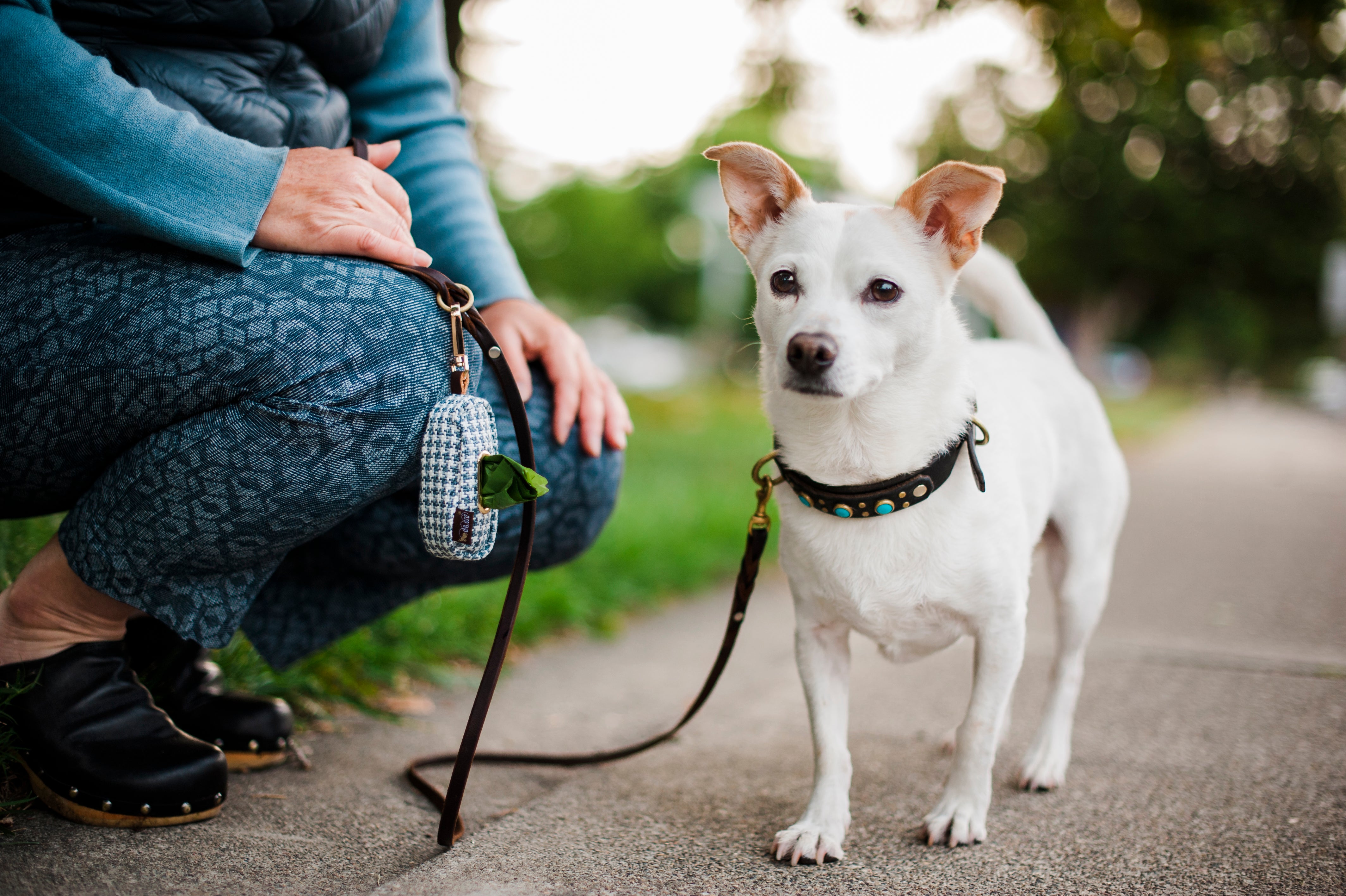 Better Together: Exploring the Hidden Health Perks of Walking Your Dog