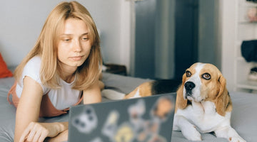 The Secret to Staying Sane as You Work From Home With Pets