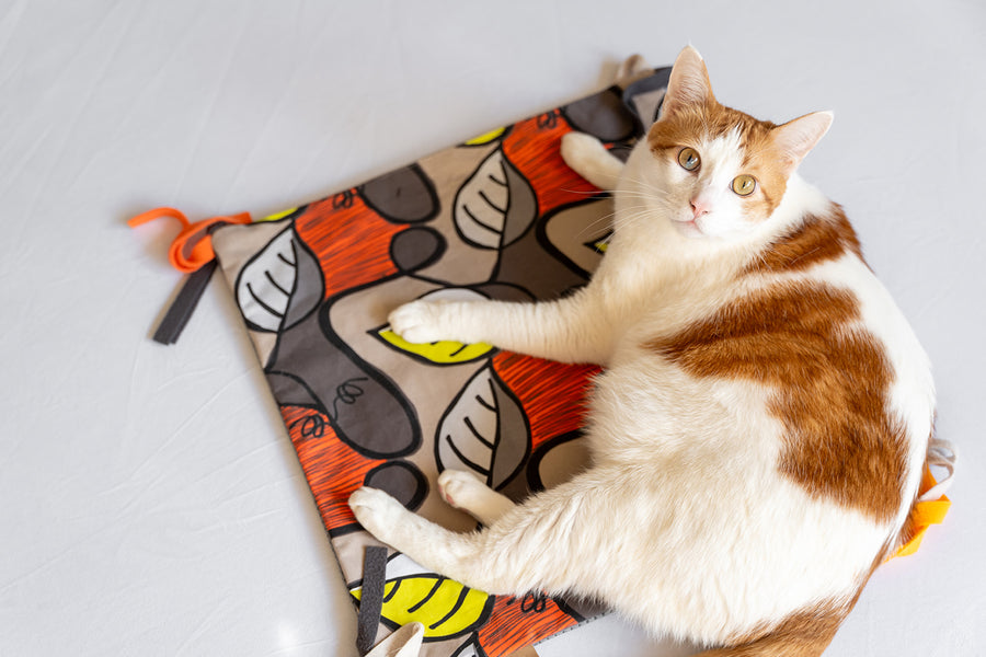 P.L.A.Y. Purrfect Playtime Mat - ginger cat sitting on top of the mat staring into the camera
