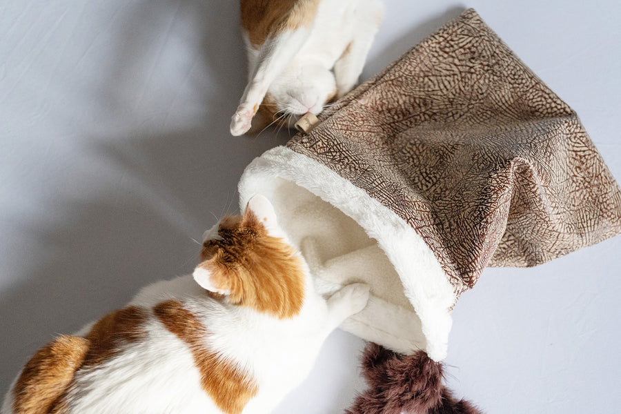 P.L.A.Y. Cat Crinkle Sack - one cat entering the sack and one playing upside down