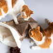 Load image into Gallery viewer, P.L.A.Y. Feline Frenzy Cat Crinkle Sack - two ginger cats playing over the sack
