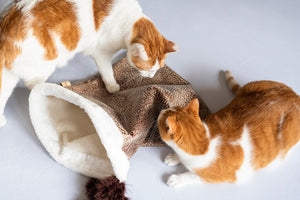 P.L.A.Y. Cat Crinkle Sack - two ginger cats playing over the sack