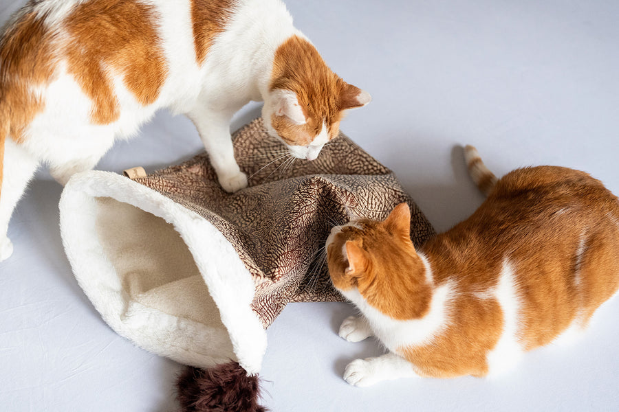 P.L.A.Y. Cat Crinkle Sack - two ginger cats playing over the sack