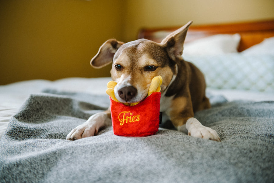 P.L.A.Y. American Classic Frenchie Fries Toy - dog resting head on fries while laying on a bed