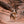 Load image into Gallery viewer, P.L.A.Y. Big Five of Africa Collection - Leopard Toy in mouth of a brown and white aussie running through the tall red rocks of Utah
