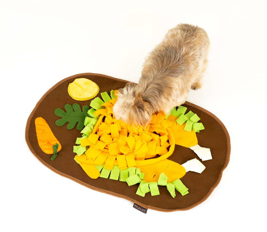 P.L.A.Y. Thanksgiving Snuffle Mat - little fluffy dog searching for treats in turkey