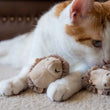 Load image into Gallery viewer, Feline Frenzy Forest Friends Collection - Mama and Chip Hedgehog Toy Set with ginger cat sniffing them
