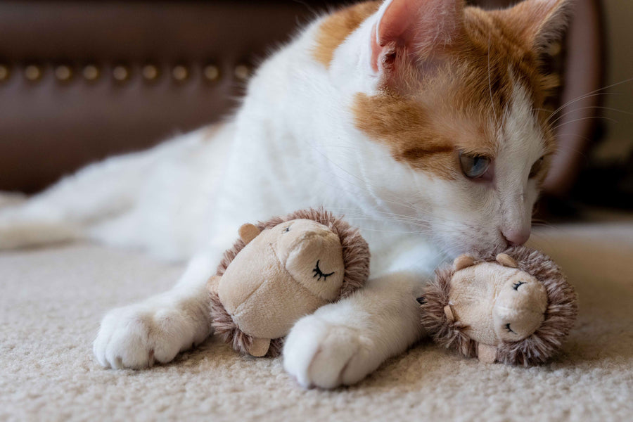 Feline Frenzy Forest Friends Collection - Mama and Chip Hedgehog Toy Set with ginger cat sniffing them