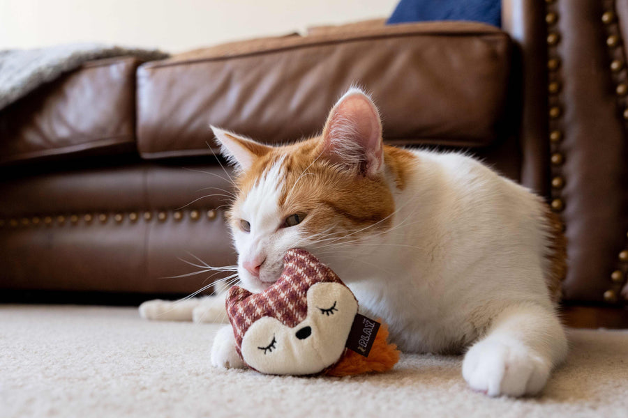 Feline Frenzy Forest Friends Collection - Foxy Toy with ginger cat using it as a headrest in living room
