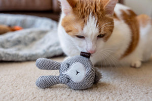 Feline Frenzy Forest Friends Collection - Hopsy Toy on its side with ginger cat hovering over it