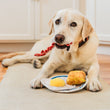 Load image into Gallery viewer, IHOP x P.L.A.Y. Eggcellent Play Platter - plate in front of yellow lab laying on kitchen floor with bacon pulled off and in its mouth

