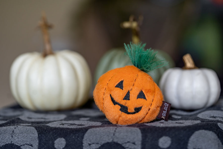 P.L.A.Y. Feline Frenzy Halloween Boo Crew Toy Set - pumpkin toy showcased