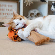 Load image into Gallery viewer, P.L.A.Y. Feline Frenzy Halloween Kicker Toy - Scaredy Crow in cats paws being nibbled on
