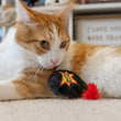Load image into Gallery viewer, P.L.A.Y. Feline Frenzy Killer Cat Kitty-Boom Toy Set - ginger cat giving menacing look with bomb toy
