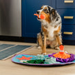 Load image into Gallery viewer, P.L.A.Y. Coral Cove Snuffle Mat - fluffy dog holding the detachable clownfish in its mouth looking up at human
