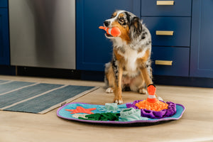 P.L.A.Y. Coral Cove Snuffle Mat - fluffy dog holding the detachable clownfish in its mouth looking up at human