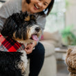 Load image into Gallery viewer, The Adventurer Bandana by P.L.A.Y. - showing red and white plaid
