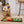 Load image into Gallery viewer, P.L.A.Y. Savory Sunrise Snuffle Mat - scruffy dog holding the egg in its mouth looking over to human with mat on the floor
