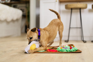 P.L.A.Y. Savory Sunrise Snuffle Mat - dog trying to rip off the egg from the mat