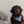 Load image into Gallery viewer, The Trendsetter Bandana by P.L.A.Y. - on beautiful large fluffy brown dog looking at the camera next to chair
