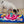 Load image into Gallery viewer, P.L.A.Y. Woof-day Celebration Snuffle Mat - little white dog sniffing mat
