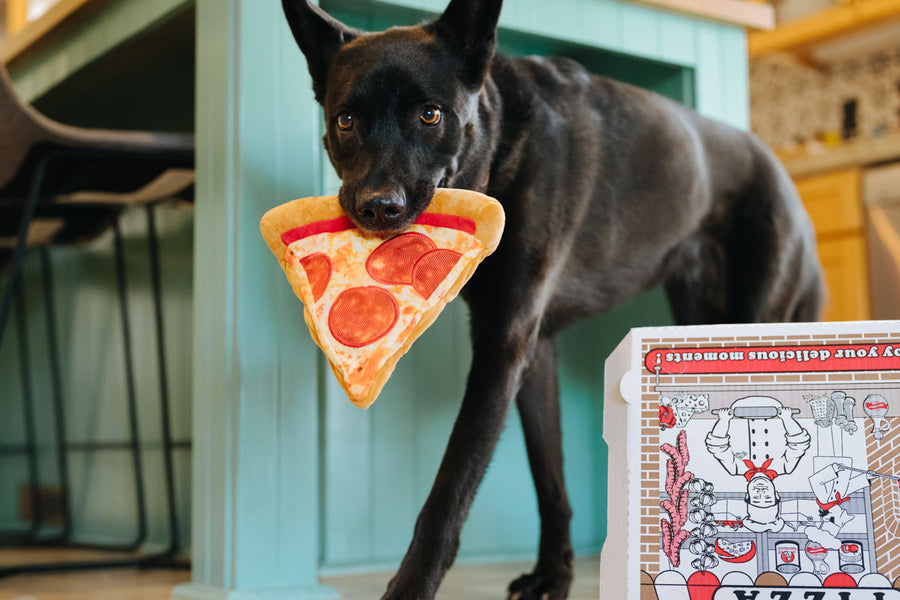 P.L.A.Y. Snack Attack Collection - Puppy-roni Pizza Toy in beautiful black dog's mouth coming around kitchen island with pizza box on ground