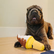 Load image into Gallery viewer, P.L.A.Y. Snack Attack Collection - Swirls n&#39; Slobbers Soft Serve Toy in between a wrinkly dog&#39;s paws sitting on the wood floor looking at camera with tounge out

