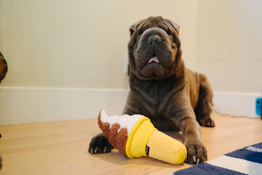 P.L.A.Y. Snack Attack Collection - Swirls n' Slobbers Soft Serve Toy in between a wrinkly dog's paws sitting on the wood floor looking at camera with tounge out