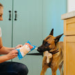 Load image into Gallery viewer, P.L.A.Y. Snack Attack Collection - Fluffles Toy showing bungee of hidden chips when dog is tugging on it with dog mom holding onto chip bag kitchen
