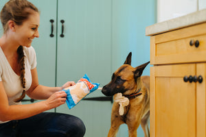 P.L.A.Y. Snack Attack Collection - Fluffles Toy showing bungee of hidden chips when dog is tugging on it with dog mom holding onto chip bag kitchen