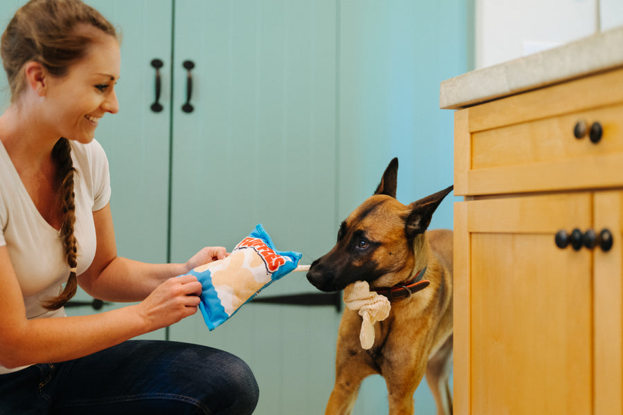 P.L.A.Y. Snack Attack Collection - Fluffles Toy showing bungee of hidden chips when dog is tugging on it with dog mom holding onto chip bag kitchen