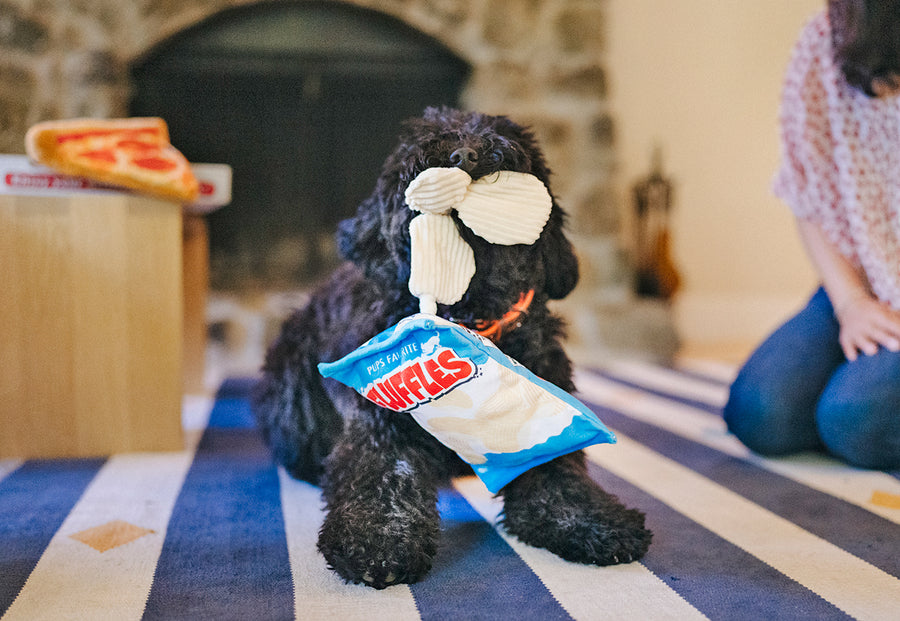 P.L.A.Y. Snack Attack Collection - Fluffles Toy black dog holding potato chips in it's mouth playing on the living room rug