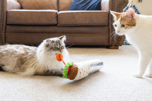 P.L.A.Y.'s Feline Frenzy Kicker - Shrimp Purrito Toy - fluffy cat tugging on shrimp while other cat is looking at the toy