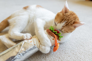 P.L.A.Y.'s Feline Frenzy Kicker - Shrimp Purrito Toy - ginger cat sniffing the top of the purrito toy