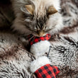 Load image into Gallery viewer, P.L.A.Y. Feline Frenzy Kitten Mittens Toy Set - fluffy cat playing with one of the mitten toys on a fuzzy blanket
