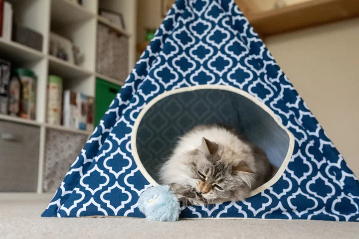 P.L.A.Y. Feline Frenzy Balls of Furry Toy Set - fluffy cat playing with blue ball inside Moroccan Pet Teepee tent