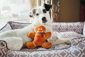 Holiday Classic Collection by P.L.A.Y. - Holly Jolly Gingerbread Man Toy leaning up against white dog laying in a Moroccan Lounge Bed
