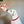 Load image into Gallery viewer, Holiday Classic Collection by P.L.A.Y. - Cheerful Candy Canes Toy being handed to white lab by human

