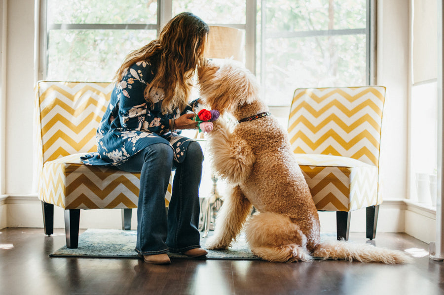 P.L.A.Y. Puppy Love Collection - Rover's Roses Toy between a dog mom and Golden Doodle sharing a kiss in living room
