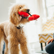 Load image into Gallery viewer, P.L.A.Y. Puppy Love Collection - Fur-ever Hearts Toy in mouth of dog with dog mom smiling on
