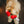 Load image into Gallery viewer, P.L.A.Y. Puppy Love Collection - Fur-ever Hearts Toy in mouth of sweet Golden Doodle&#39;s mouth looking up at camera
