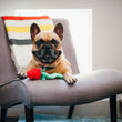 Load image into Gallery viewer, P.L.A.Y. Puppy Love Collection - Rover&#39;s Roses Toy - red single rose on a chair with a smiling Frenchie
