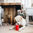 Load image into Gallery viewer, Holiday Classic Collection by P.L.A.Y. - Ho Ho Ho Hot Chocolate Toy with white lab nosing the top of it under the dining room table
