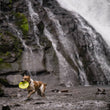 Load image into Gallery viewer, P.L.A.Y. ZoomieRex InfiniDisc - lime green in dog's mouth going through a waterfall
