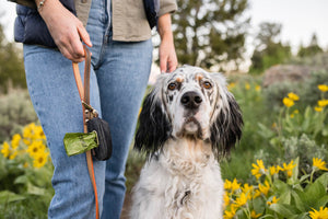 Dog Bag Holder: The Proper Pup Poop Bag Dispenser – P.L.A.Y.