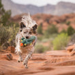Load image into Gallery viewer, Blooming Buddies Collection by P.L.A.Y. Prickly Cactus Toy with in dogs mouth running down a desert trail
