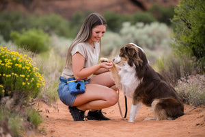 Landscape Series Deluxe Training Pouch in River around human's waist while she holds her dog's paw on a desert trail