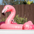 Load image into Gallery viewer, P.L.A.Y. Tropical Paradise Collection - Flamingo Float Toy on top of a flamingo float in a barkyard pool
