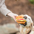 Load image into Gallery viewer, P.L.A.Y. American Classic Barky Burger Toy - in dog&#39;s mouth being chomped on with dog mom holding on to other side
